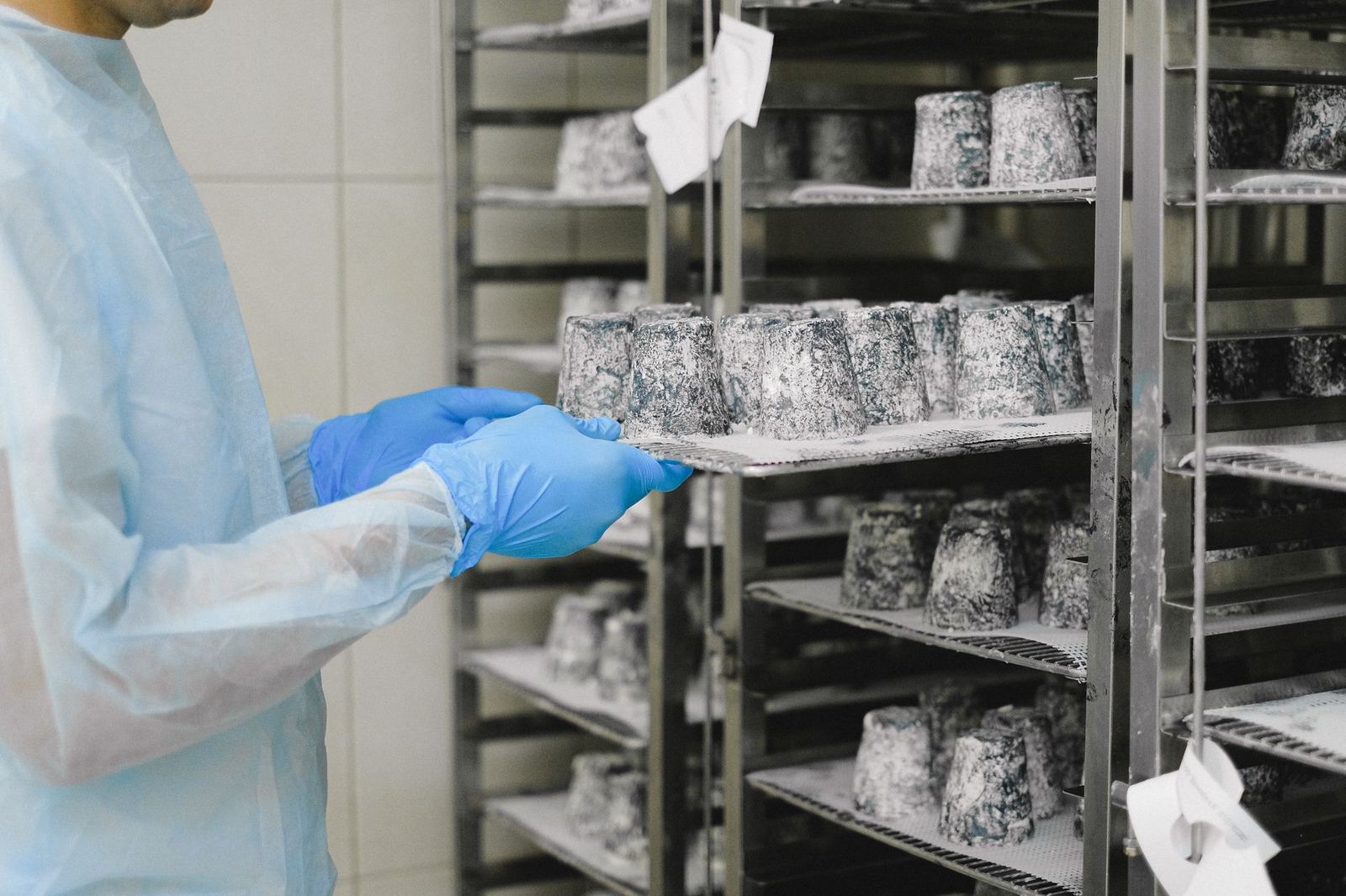 ISO 22000 ve HACCP Gıda Güvenliği Danışmanlığı
